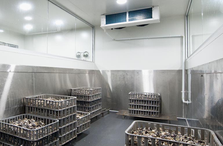 Commercial refrigeration projects