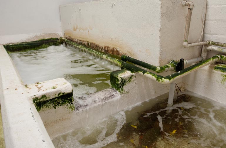 Water filtration units